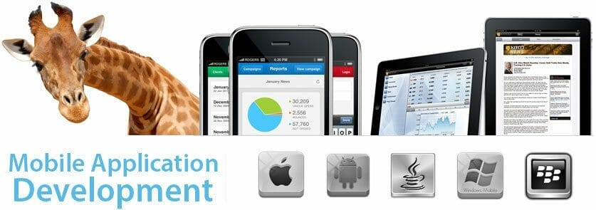 mobile-app-development1