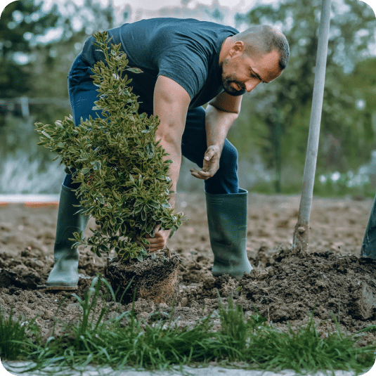Tree Service SEO Marketing Services Toronto