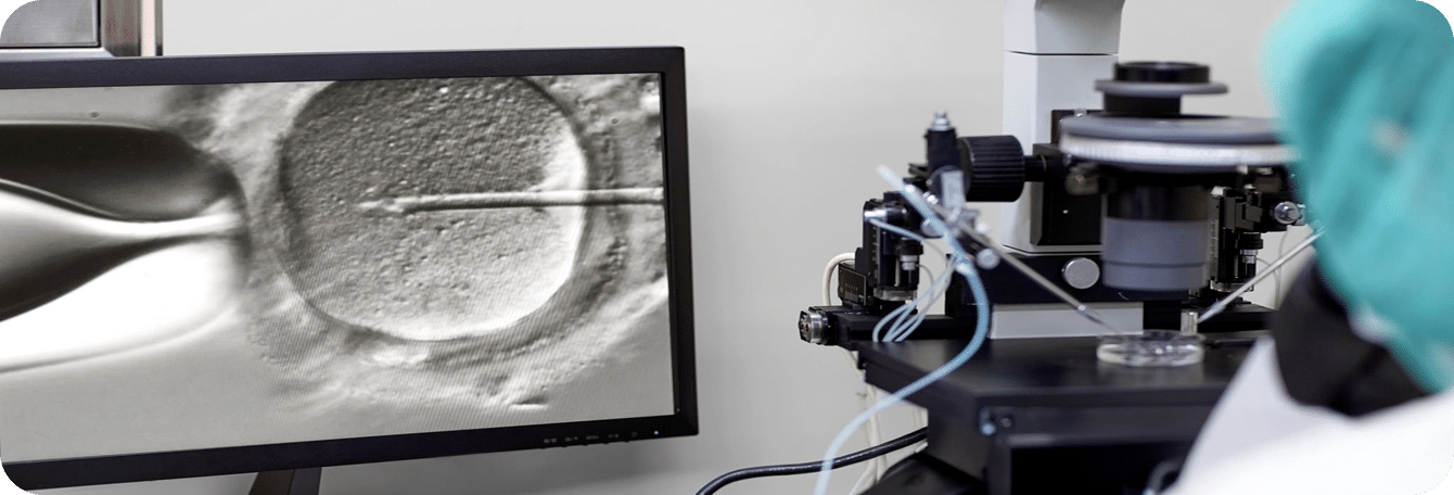 fertility clinic marketing services